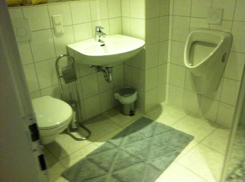 a bathroom with a sink and a toilet at Traditionsgasthof Zum Luedertal in Bimbach