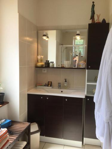 a bathroom with a sink and a mirror at La Parisienne des Amognes in Montigny-aux-Amognes