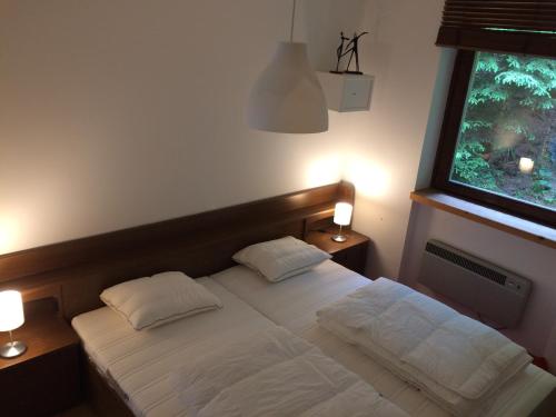 インナークレームスにあるLärchenhof Apartment Nr 8のベッドルーム1室(枕2つ、窓付)
