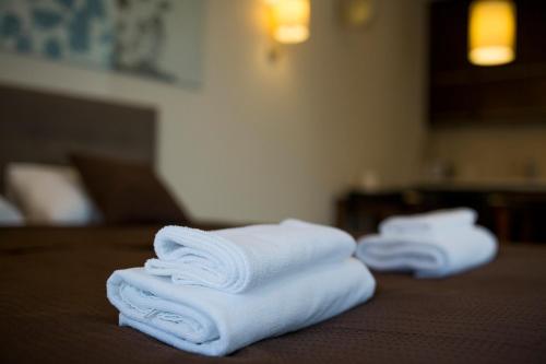 オストルダにあるWilla Port Apartament Liliaのタオル2枚