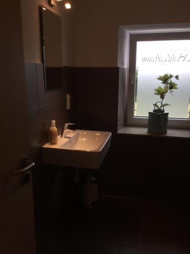 a bathroom with a sink and a window with a potted plant at Hotel Zum Alten Schlagbaum in Wegberg