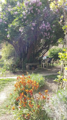 a park with a bench and a tree with flowers at Oniros in Neuffontaines
