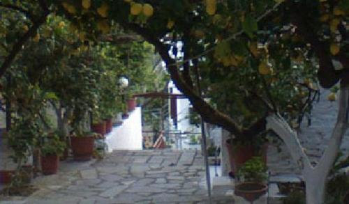 Gallery image of Lemon House in Kokkari