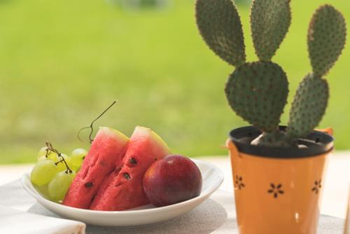 Jídlo v farmy nebo okolí