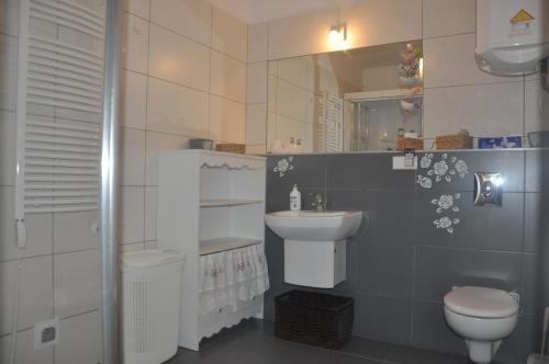 a bathroom with a sink and a toilet and a mirror at Apartament Róża in Kościelisko