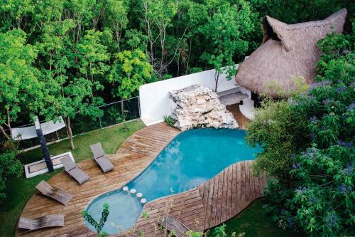 an overhead view of a swimming pool in a garden at Coco Village in Tulum