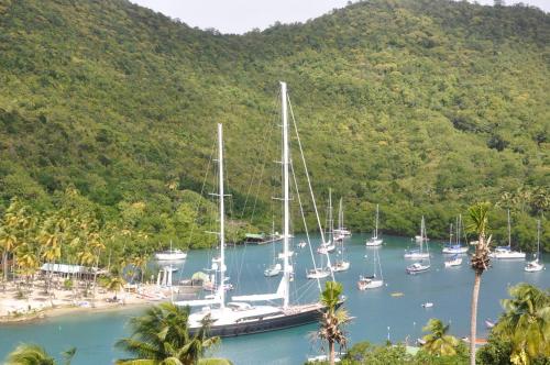 a bunch of boats are docked in a harbor at Marigot Palms Luxury Caribbean Apartment Suites in Marigot Bay