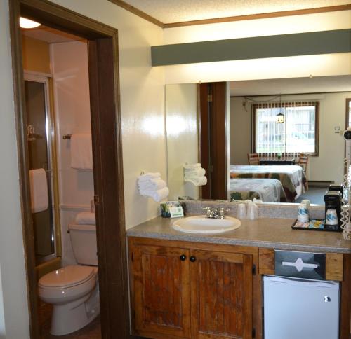 a bathroom with a sink and a toilet and a mirror at Kancamagus Lodge in Lincoln