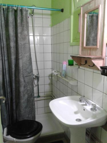 La salle de bains est pourvue de toilettes et d'un lavabo. dans l'établissement Casa En El Corazón De Mendoza, à Mendoza