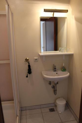 a bathroom with a sink and a mirror and a toilet at Sunnuberg Guesthouse in Hofsós