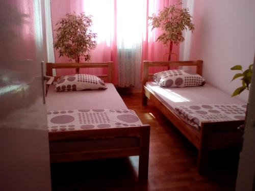 two twin beds in a room with a window at Apartment Alipašino in Sarajevo