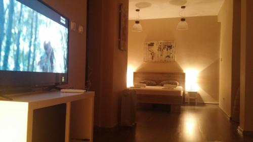 TV i/ili multimedijalni sistem u objektu Top Apartment
