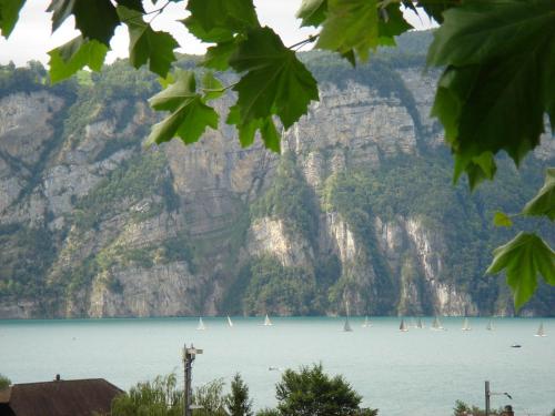 a view of the water with sailboats in it at Hotel Eden Sisikon in Sisikon