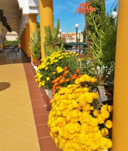 a bunch of yellow flowers in a building at Rialgarve in Faro
