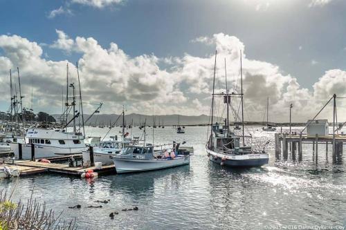 a group of boats docked at a dock in the water at Front Street Inn and Spa in Morro Bay