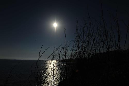 a full moon rising over the ocean at night at Kasgar Court Hotel in Karaoğlanoğlu
