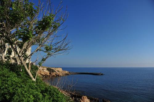 an island in the middle of a body of water at Kasgar Court Hotel in Karaoğlanoğlu