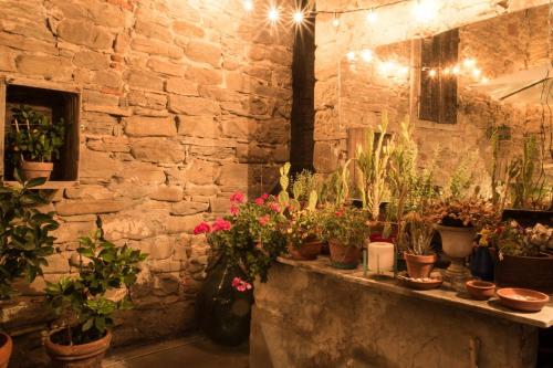 a bunch of potted plants on a stone wall at Il Vecchio Comune in Santa Sofia