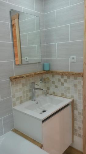 a bathroom with a sink and a mirror at WillowTree Cottage in Avèze