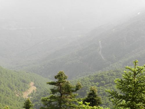 a view of a valley with trees in the foreground at La Posada del Recovero in Genalguacil