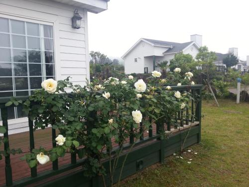 a fence with roses on it in front of a house at Jeju Skyline Pension in Jeju