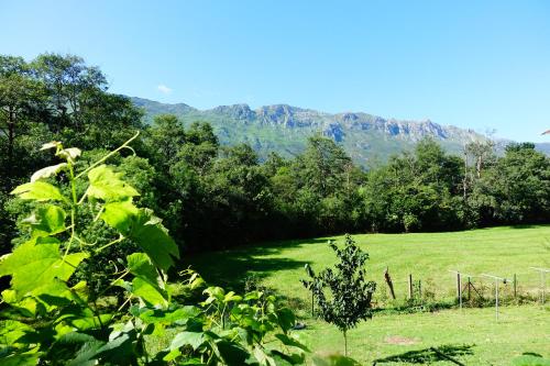 a green field with trees and mountains in the background at Prau Riu Hotel Hyundai-Asturdai in Llanes