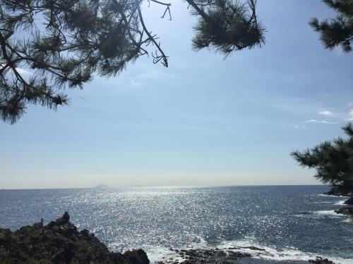 別荘の近くで見られる自然の景観