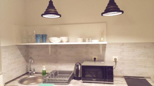 La cuisine est équipée d'un évier et d'un four micro-ondes. dans l'établissement Studio apartment, à Tbilissi