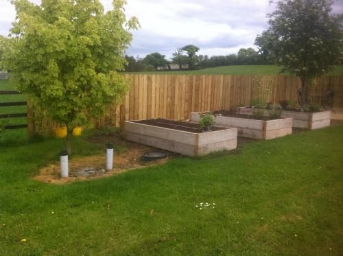 a backyard with three raised beds with a tree at Oakwood B&B in Belmont