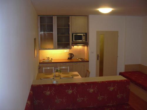 a small kitchen with a sink and a counter top at Apartman Ašek in Ramzová
