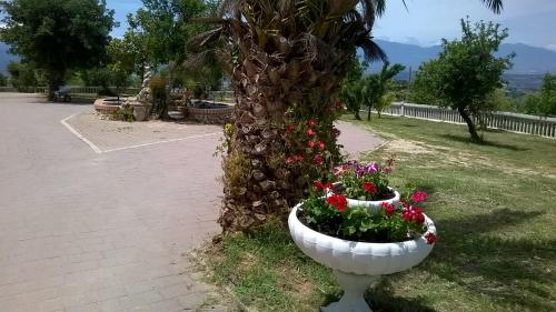 Paisaje cerca de este agroturismo