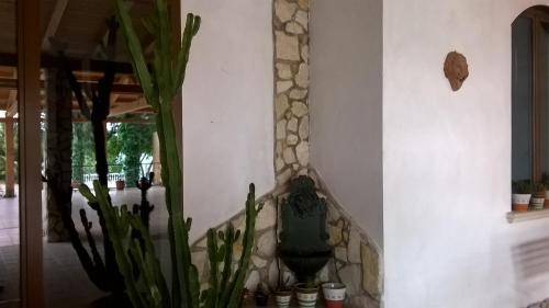 Imagen de la galería de Agriturismo Vemi, en Santa Sofia dʼEpiro