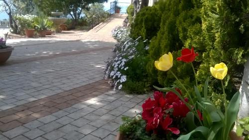 Jardín al aire libre en Agriturismo Vemi