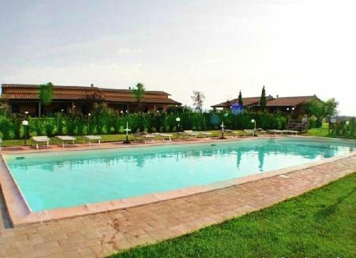 une grande piscine avec des chaises dans l'herbe dans l'établissement Agriturismo Colle d' Oro, à Pescia Romana