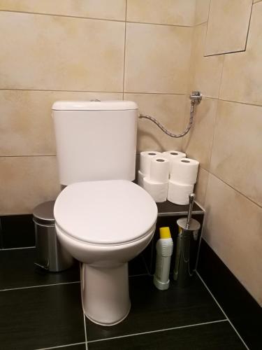 a bathroom with a toilet and three rolls of toilet paper at Haas Apartments Downtown with Parking in Brno