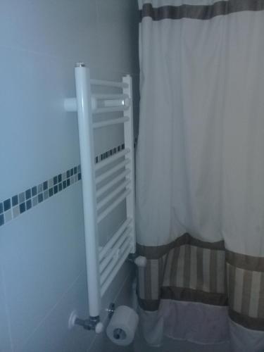 une salle de bain avec une cabine de douche avec un rouleau de papier toilette dans l'établissement Casa Condominio Alicura Pucón, à Pucón