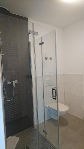 a bathroom with a glass shower with a toilet at Gästehaus Langhammer in Bubenreuth