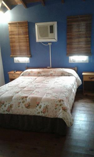 a bedroom with a bed and a air conditioner at La Daimalé Apart in Colón