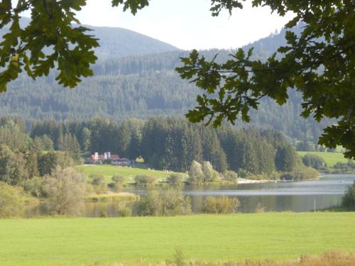 a green field with a lake and mountains in the background at Bed & Breakfast Jungholz - Pension Katharina in Jungholz