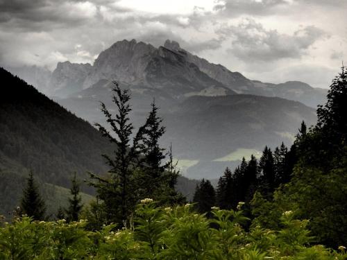 a view of a mountain range with a tree at Pension Haus Rohrmoser in Annaberg im Lammertal