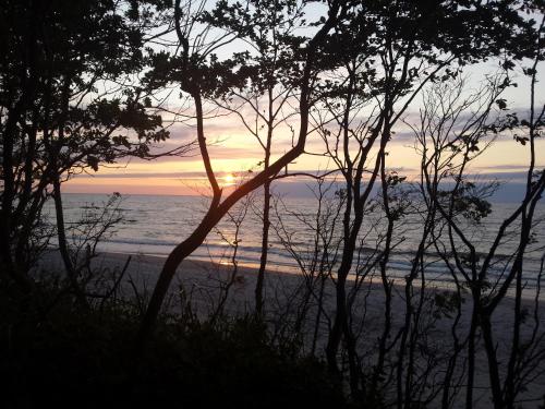 a sunset over the beach with trees in the foreground at Apartament 27 Dwie Sosny in Ustronie Morskie