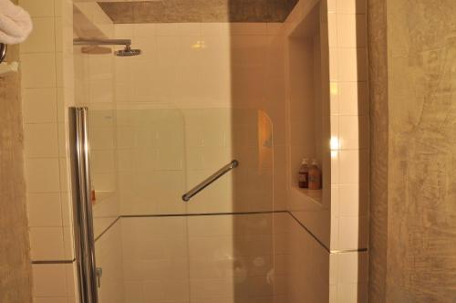 a shower with a glass door in a bathroom at Hosteria Ruca Kitai in Villa Lago Rivadavia