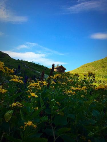Gallery image of B&B El Piastrol in Bagolino