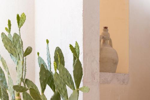 Fotografie z fotogalerie ubytování Corte dei Nobili v destinaci Conversano
