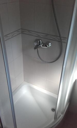 a shower with a shower head in a bathroom at Apartments Ivka in Omiš