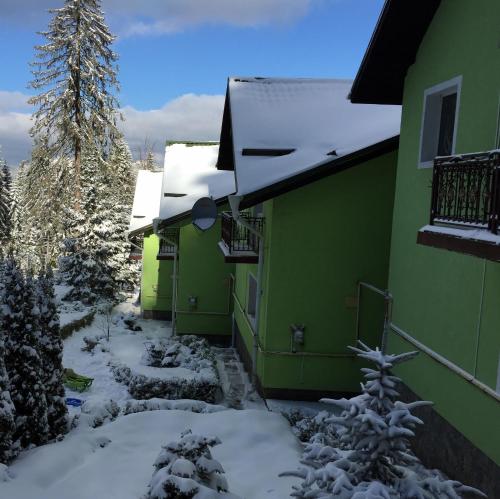 un edificio verde con nieve en el suelo en Vila Bogdana, en Predeal