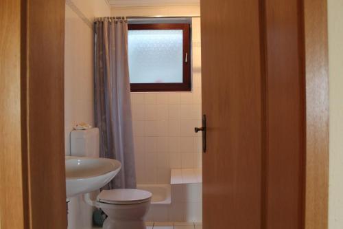 a bathroom with a toilet and a sink and a window at Ferienwohnung Waldschlößchen in Wattenbach