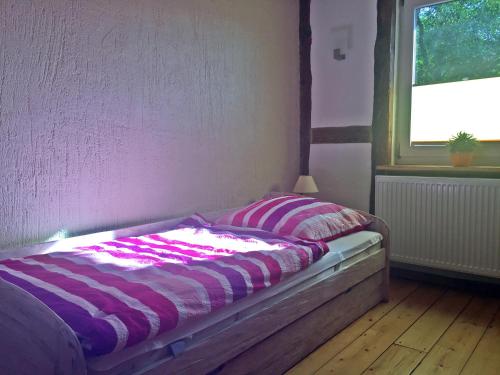 Bett in einem Zimmer mit Fenster in der Unterkunft Fachwerkhaus 4 Birken in Rumpshagen