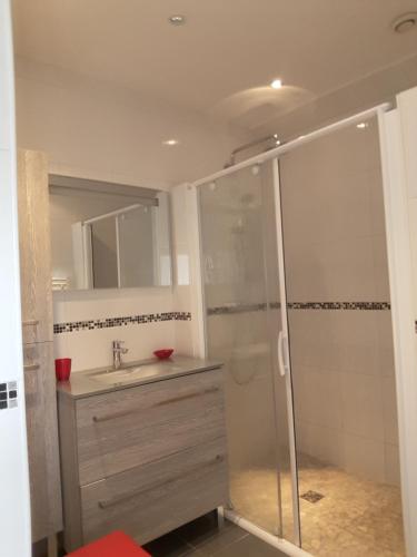 a bathroom with a shower and a sink at Maison De Charme in Cellettes