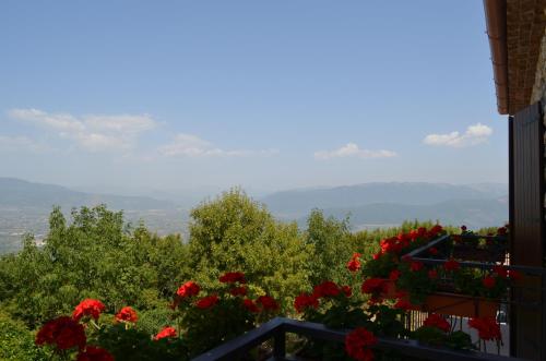 a view from a balcony with red flowers at Agriturismo Monte Cesima in Sesto Campano